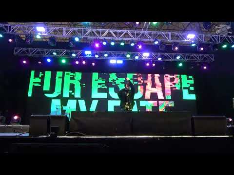 Anime Friends 2023 - Who-Ya Extended: Q-vism