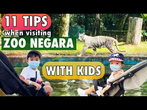 TOP TIPS WHEN VISITING ZOO NEGARA WITH KIDS IN 2020 | ANIMAL NAMES | TIGER CLOSE ENCOUNTER