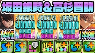 【パズドラ】坂田銀時＆高杉晋助！３４ターンダメージ上限値２４０億！敵が木属性の場合４８０億！一撃１４４０億！無効貫通＆属性吸収無効！２体ループ！かぶき町コロシアム！