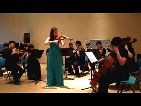 Vivaldi : La Stravaganza Op.4 No.2 RV279-I Allegro