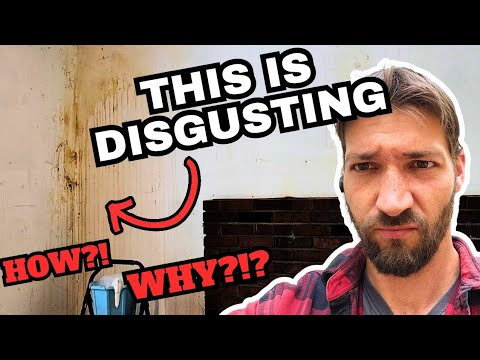 Finishing Tasks before PAINT! | Ep. 105