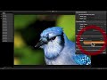 On1 photo raw 2018 user guide