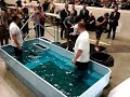 My Baptism 10/15/17 - John Carpenter's Baptism