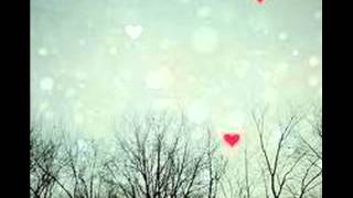 Francis Cabrel ----je te suivrais