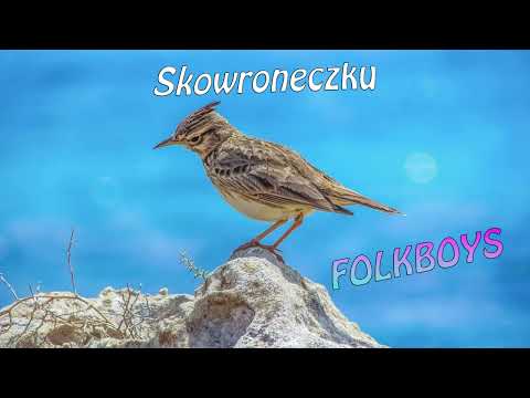 FOLK BOYS - Skowroneczek