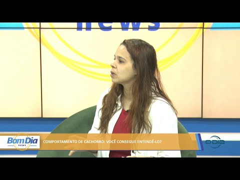 Comportamento de cachorro: Você consegue entendê-lo? 21 03 2022