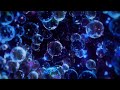 Bass Da Da Da Sentadão SLOWED