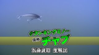 加藤誠司がＣＨＵＢ(仮称)を生解説