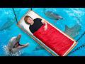 Overnight In The World S Most EXTREME Hotels