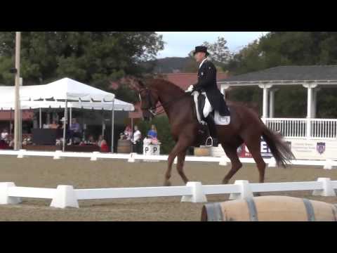 What you can expect to see at a CDI 3* Olympic Qualifier Competition