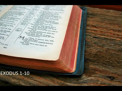 The Audio Bible - Exodus 1-10