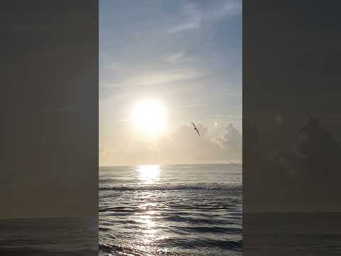 Viajante | Nascer do sol | #viajante #sunrise #nature #travel #Taiwan #Hualiencity #shorts