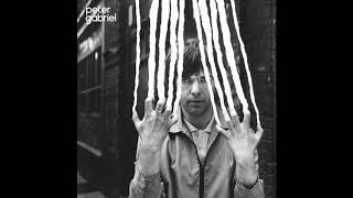 Peter Gabriel - Animal Magic