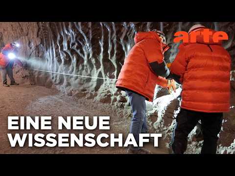 Video Thumbnail: Das Gedächtnis der Pflanzen und Tiere - Heißzeit | Doku HD Reupload | ARTE