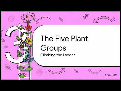 The Hidden Logic of Nature: Plant Kingdom Decoded