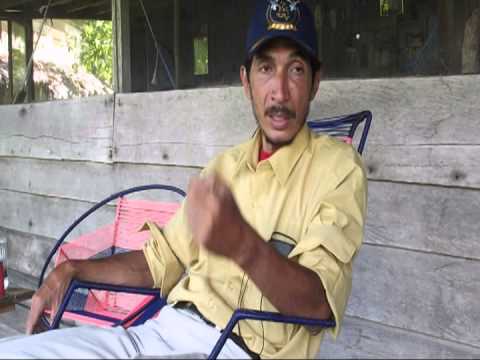 Aya Journey - Varillal, Peru - June 2011