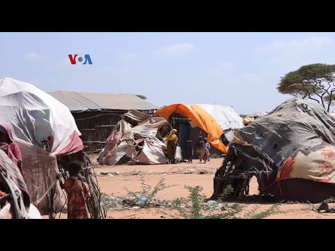 VOA - PELATIHAN KETERAMPILAN DIGITAL BAGI PENGUNGSI MUDA SOMALIA