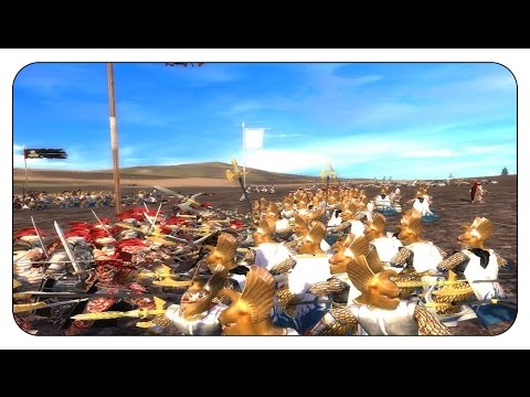 HOLD THE LINE !!!- Call of Warhammer Total War Online Gameplay