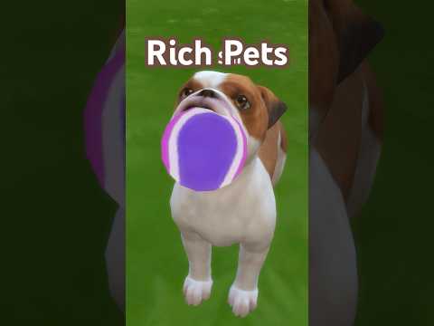 🐶 Питомцы могут принести вам много денег в Sims 4 - требуется дополнение «Кошки и собаки» #sims4 ...