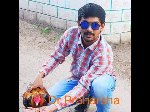 AYYAPPA FARMS  birdflu virus Dr Praharsha garu