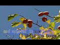 I Write The Songs By Barry Manilow Kumyoung Karaoke Muzen EX Minus One Instrumental