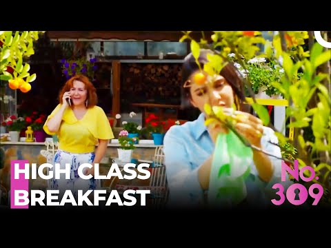 We'll Hop In The Pool For A Swim 😅- No. 309