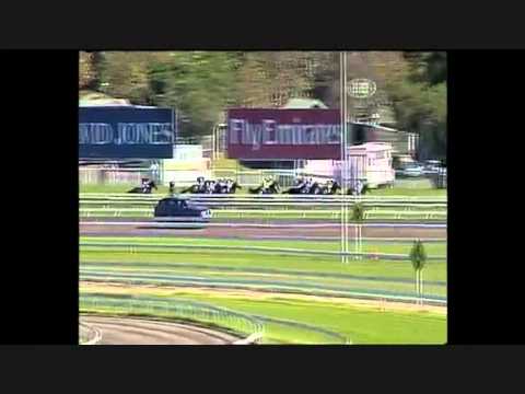 Black Caviar winning the TJ Smith Stakes Group 1.  12th win in a row