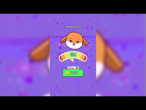 Zoo jam 3D