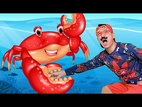 Sea Animals Finger Family Songs with Lyrics - Nursery Rhymes for Kids Educational | BiBu TV Video