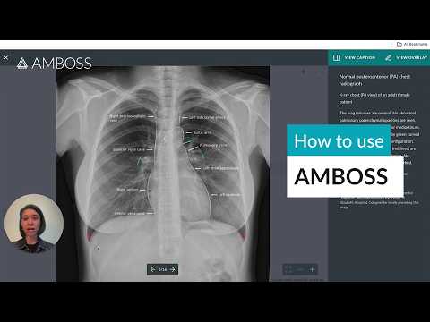 Amboss Membership