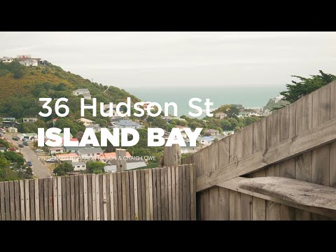 36 Hudson Street, Island Bay - Wellington (Aaron Nation & Craig Lowe)