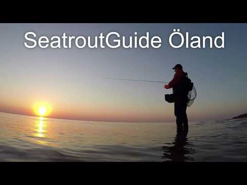 SeatrouteGuide Öland ( seatrout fishing. havsöring. havørred. )