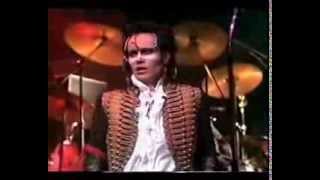 HUMAN BEINGS by ADAM &amp; THE ANTS