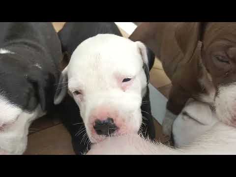 Sikandar ki video dekhne ke liye subscribe kr lo 