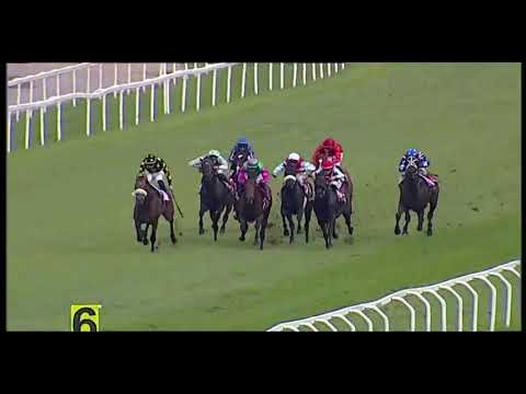 2024.10.13 Gran Premio del Jockey Club (ITA) - Straight