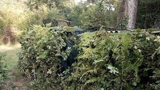 Camouflage de la palombière N°2