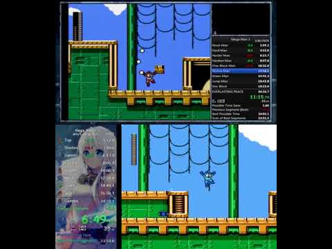 Dueling PBs - Mega Man 3 in 34:25 by Prisiii3 and ColonelFatso