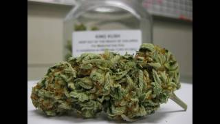 Slightly Stoopid - Everything You Need