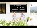CC Bloom Flower Farm Summer Love Market 2022