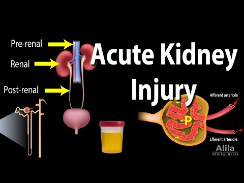 Acute Kidney Injury, a.k.a. Acute Renal Failure, Animation Video