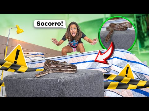 UMA COBRA VIVA APARECEU NA MANSÃO E ELA SE DESESPEROU! - LOUCURA!