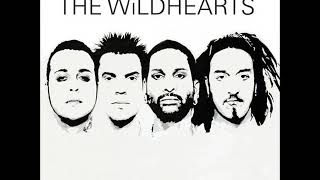 The Wildhearts - Borderline