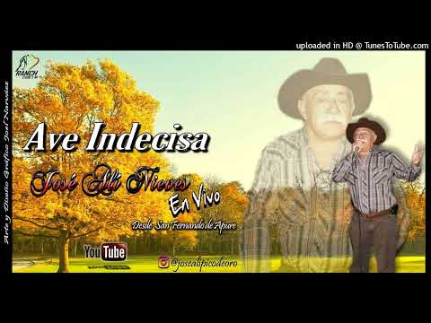 JOSÉ ALÍ NIEVES - AVE INDECISA "EN VIVO" @joelantonionarvaez