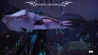 WARFRAME -  A spot for Mortus Lungfish (night) fishing