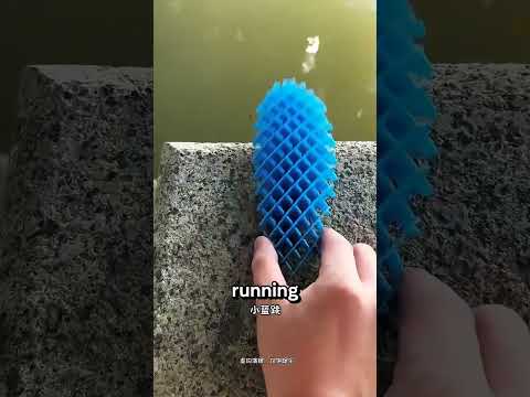 Colorful insects have entered the yard! 😱#Catsoftiktok#CatLovers #cat #cute#FunnyCats#catcartoon#fyp