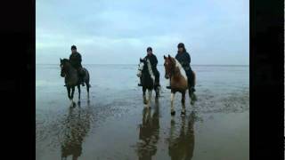 preview picture of video 'Pilling Beach Ride Xmas 2010'