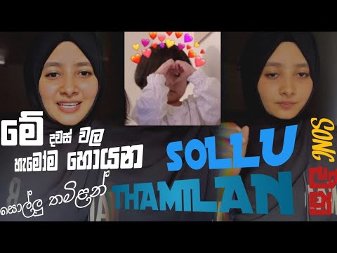 Sollu Tamilan_Rap Tamilan │සොල්ලු තමිළන් Tik Tok Virul Song@sihalabeats-gm9hz #viral #trending  