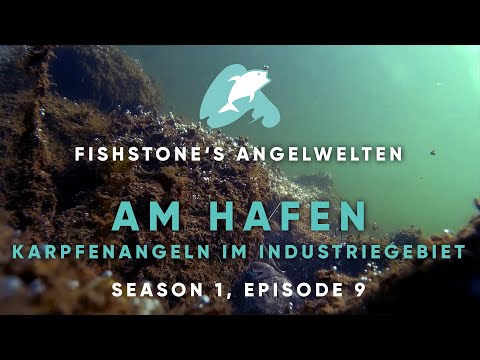 FISHSTONE's Angelwelten S1E9 - AM HAFEN Karpfenangeln im Industriegebiet mit Sebastian Manecke