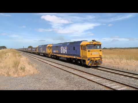 7737V Pacific National Grain Train With 8164 & BL27 (23/12/2021) - PoathTV Australian Railways