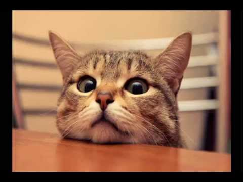 John Askew - Bored Of You, Bored Of Me (Johan Ekman 'Heard You Like 303' Remix)